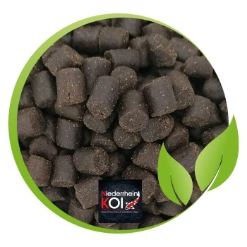 KENKOU Premium Stör 5 Kg 2 KENKOU Premium Stör 5 Kg – Bild 2