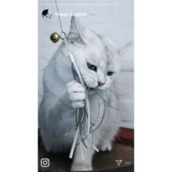 Kater Kasimir Premium Katzenangel Mit 4 Handgemachten Anhängern Aus Naturmaterial 9 Kater Kasimir Premium Katzenangel Mit 4 Handgemachten Anhängern Aus Naturmaterial -Tierbedarf Rabatt Geschäft e6fe48d27b82d48675d665ee2a143e3c11de2fd9 1408150 de DE b29a5f7f2530ce6388e16e2600369d70b2ec0350kYn6B8