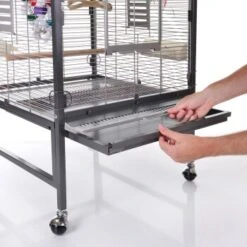 Montana Cages Voliere Paradiso 60 Hellgrau/ Dunkelgrau -Tierbedarf Rabatt Geschäft e88e491a9118d4237a939c333a64497a7eab0ec9 1205436 de DE 7cc82b47e0d4fb3c6995a6a5eace91599bd27fdddF0rHU