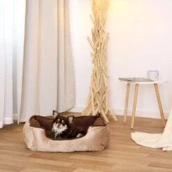 Lionto 2-in-1 Hundebett Hundekissen S -Tierbedarf Rabatt Geschäft e94e703213d8339177b5bf437e55e65ce7b12c91 1657978 de DE e3a2641a10619a778936edf4b9cf091895018a2eIXIFCK