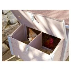 Kerbl Hühnerstall Emma -Tierbedarf Rabatt Geschäft e983a0e31b516f7fc42898127f95c461f948be99 bb4d24fe8aa40ced2664bab715e28c3226a13326