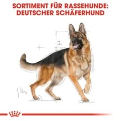 ROYAL CANIN Deutscher Schäferhund Adult 11 Kg 11 ROYAL CANIN Deutscher Schäferhund Adult 11 Kg -Tierbedarf Rabatt Geschäft e9cdd4bccca28fab02a00815a120dd87036591e8 8da61ea876c2efb3fc2108d51700aba967e57469