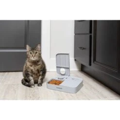 PetSafe Futterautomat Für 2 Mahlzeiten -Tierbedarf Rabatt Geschäft ecfa45428902a757dc7016a44357eeb1f8b25a89 1343837 6