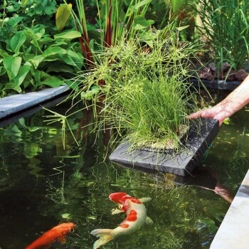 Velda Floating Plant Island Eckig 35 Cm 2 Velda Floating Plant Island Eckig 35 Cm – Bild 2