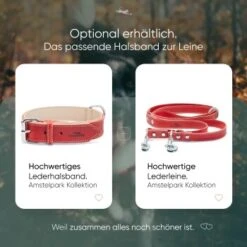 Freudentier Gefüttertes Halsband Aus Leder Rot L 13 Freudentier Gefüttertes Halsband Aus Leder Rot L -Tierbedarf Rabatt Geschäft edbbec2203d36f9f92e63e25e5dac1465e2212f9 1655241 de DE f27ae6c917577706d4abf31813f6f4ca38005295rnxmmc