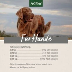 Aniforte Ente 2,4 Kg -Tierbedarf Rabatt Geschäft eee975015e2b8028b269bfe304bf1a718520f506 1422204 de DE ecf8c646fa9f7a73ce2de360e52f7434941d64248DHoZ8