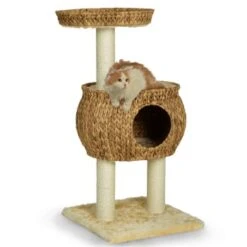 Silvio Design Kratzturm Cestino 7 Silvio Design Kratzturm Cestino -Tierbedarf Rabatt Geschäft ef0a90672f1eb00d70c3cd19197169962e160ff2 a23d448577d51dcf93e2a088a7495518cff75b25