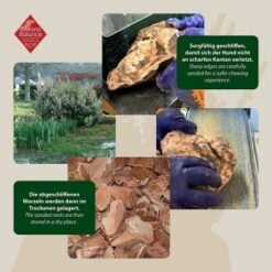 ChronoBalance Kauwurzel Baumheide (XS) 2er Paket -Tierbedarf Rabatt Geschäft f0b2f3756e5531b78417ef4e33bb662d74069c60 1418712 de DE ba8b2a31068658c9820512bd79f25900dbe0cd09vNo0eo