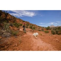 Ruffwear Swamp Cooler Zip™ Kühlweste Für Hunde Pink XL -Tierbedarf Rabatt Geschäft f39337d577f60e5d30ba5addfb811febecbc66e7 1639652 de DE 1ff9fca93caed68be3a65cc55ad0d154f81bf268suJpN2