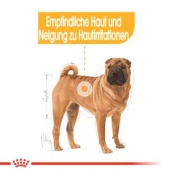 ROYAL CANIN Dermacomfort Medium 12 Kg -Tierbedarf Rabatt Geschäft f3ea63a6649f4419a7b30bcae5e53492b1d48466 1376167 de DE iajs 5