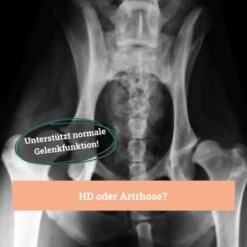 BeG Buddy Gelenk Fit Tabletten 12 BeG Buddy Gelenk Fit Tabletten -Tierbedarf Rabatt Geschäft f4b9d51f2e78d12f2ca2a2fe6ae9f754ebede26e 1457251 de DE d18aefeba3109b170fc6ce5df4353512cf27c799DQ6Cd3