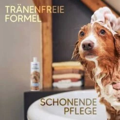 Pawlie's Welpenshampoo -Tierbedarf Rabatt Geschäft f56801adb1bee6d0b5fdd328d641fa773ce5d4c4 1626204 de DE 7b87b87a2e48e8c0e12b98c918c4d75b538aae40E5TfEc