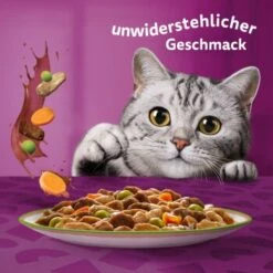 Whiskas Tasty Mix Multipack Chef's Choice In Sauce 40 X 85g 15 Whiskas Tasty Mix Multipack Chef's Choice In Sauce 40 X 85g -Tierbedarf Rabatt Geschäft f6e2ae102927feafb9e342708a0412557690953c 1410720 de DE Whiskas 6