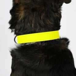 THE DOG IDEA Biothane Halsband Neongelb Schwarz XS 11 THE DOG IDEA Biothane Halsband Neongelb Schwarz XS -Tierbedarf Rabatt Geschäft f7eed9a50fda753027bdd8d2848aab3f8b1c98d8 1679167 de DE e8238a2146bc87a42f3ad42f62b57df82a3a6dcf9giucf