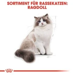 ROYAL CANIN Ragdoll Adult 10 Kg -Tierbedarf Rabatt Geschäft f8b811f9eab7202e49f7b235d6a595fa348bbbaf bb5e5e0f36d3d37fdca6dd70ac412f733832df15