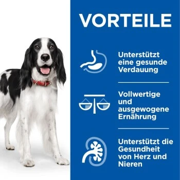 Hill's Science Plan Healthy Cuisine Adult Chicken & Beef Ragout 12x90 G 2 Hill's Science Plan Healthy Cuisine Adult Chicken & Beef Ragout 12x90 G – Bild 2