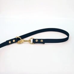 THE DOG IDEA Biothane Hundeleine Gold Navy 6 THE DOG IDEA Biothane Hundeleine Gold Navy -Tierbedarf Rabatt Geschäft fdd14f7a195cd7ad9996c568ba5182a18c51c314 1655430 de DE ca7fc5b51cbd0eb0b6ccc17b649b0a7c82011aa2TSAFPk