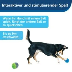 PetSafe Elektronisches Hundespielzeug Ricochet -Tierbedarf Rabatt Geschäft fde7c0cc07cd70611ca47b65ddae3e632f160d94 1418724 de DE 4f6e4953c50827cae26a42d6d5890e56447a49a4XQHEwC