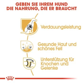 ROYAL CANIN Deutscher Schäferhund Adult 11 Kg 5 ROYAL CANIN Deutscher Schäferhund Adult 11 Kg – Bild 5