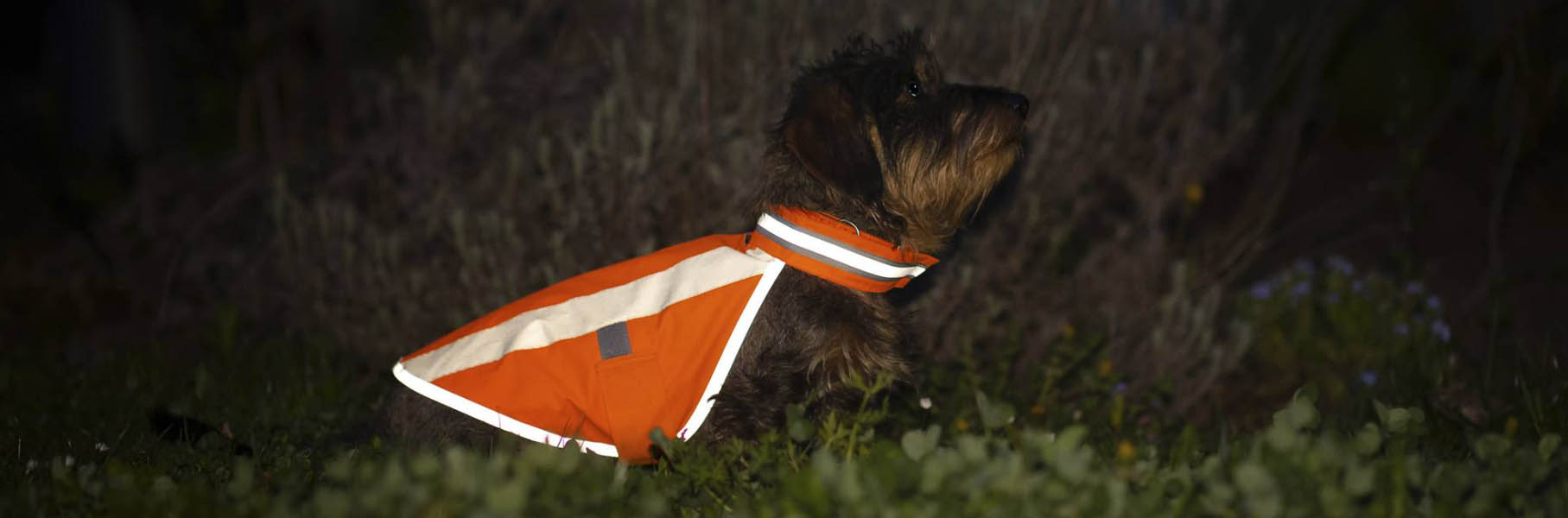Tierbedarf Rabatt Geschäft -Tierbedarf Rabatt Geschäft gjghyj