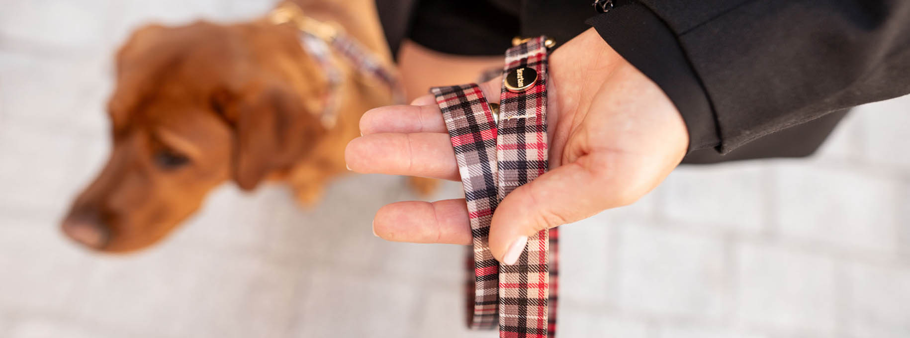 Tierbedarf Rabatt Geschäft -Tierbedarf Rabatt Geschäft tryrty